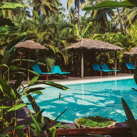 Devarya Wellness Beach Resort Morjim Bagian luar foto