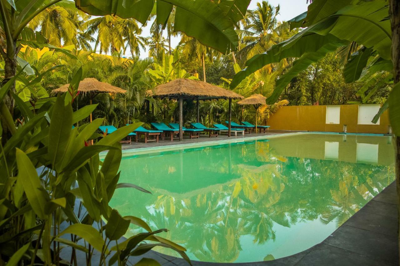 Devarya Wellness Beach Resort Morjim Bagian luar foto